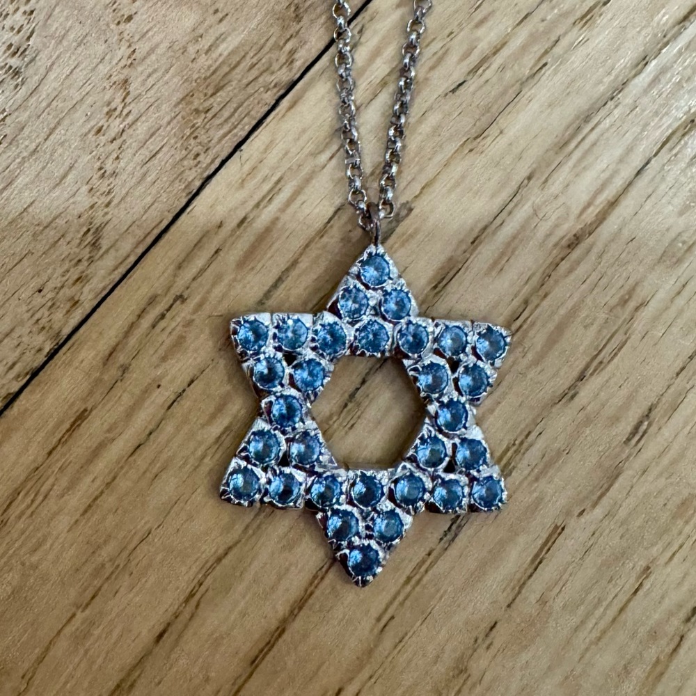 The M Jewelers Silver Blue Star of David Pendant Necklace